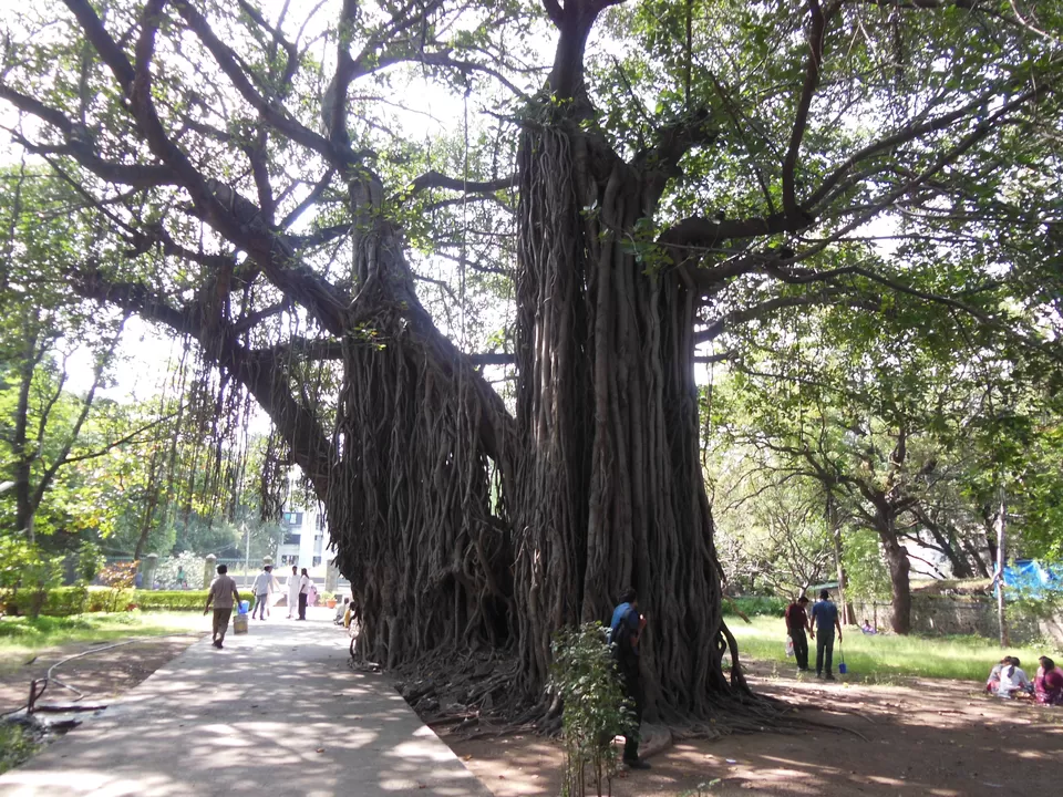 Photo of Pataleshwar Mandir, Shivajinagar, Pune, Maharashtra, India by Rutuja Patil