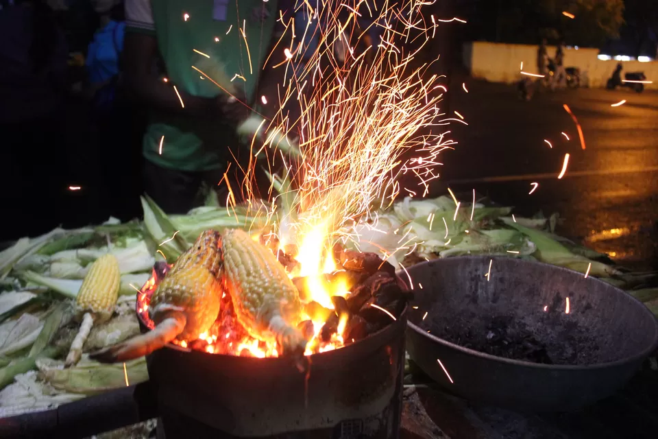 Photo of Taljai Forest Area, Pune, Maharashtra, India by Rutuja Patil