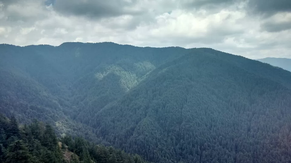 Photo of Green Valley, NH22, Himachal Pradesh 171012, India by shivani mehrotra