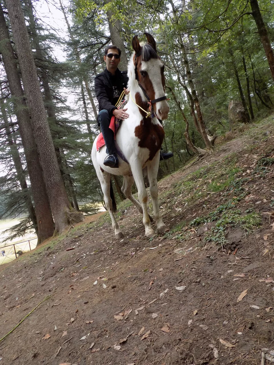 Photo of Khajjiar, Himachal Pradesh, India by Rohit Basotia