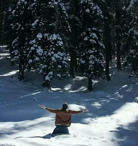 Photo of Narkanda, Himachal Pradesh, India by Rohit Basotia
