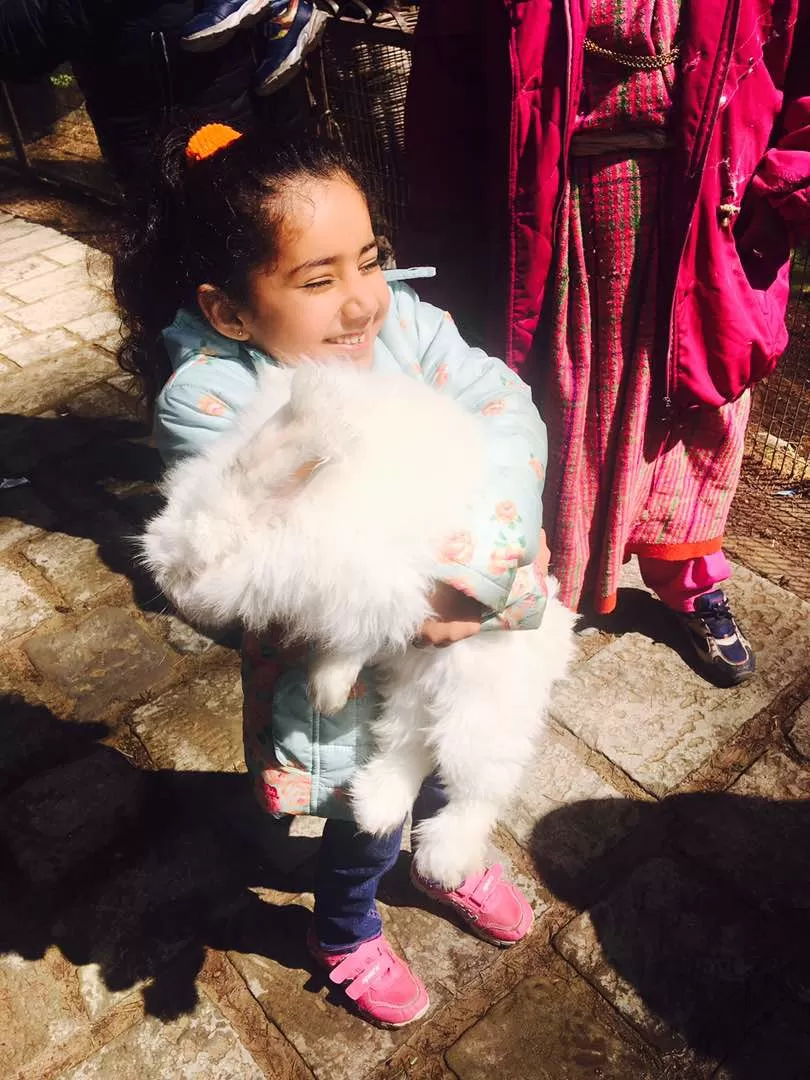 Photo of Hadimba Devi Temple, Old Manali, Manali, Himachal Pradesh, India by Rohit Basotia