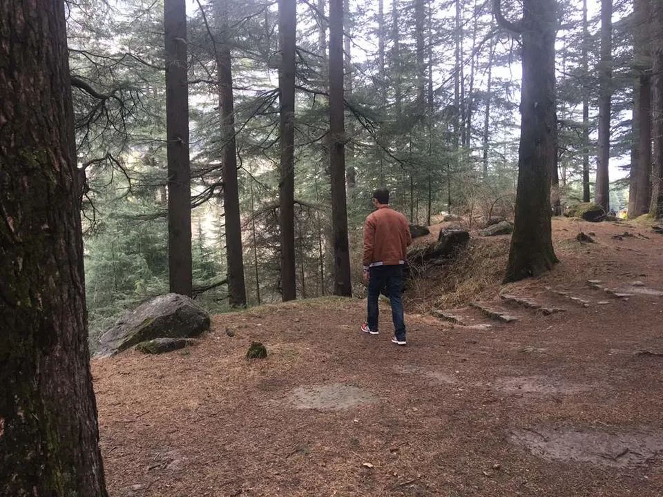 Photo of Nature park, Mall Road, Manali, Himachal Pradesh, India by Rohit Basotia