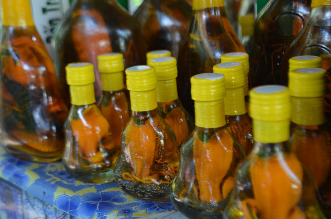 Photo of Good Morning, Vietnam. Part-III Mekong Delta – I found a Horcrux 8/13 by Wandering Corn
