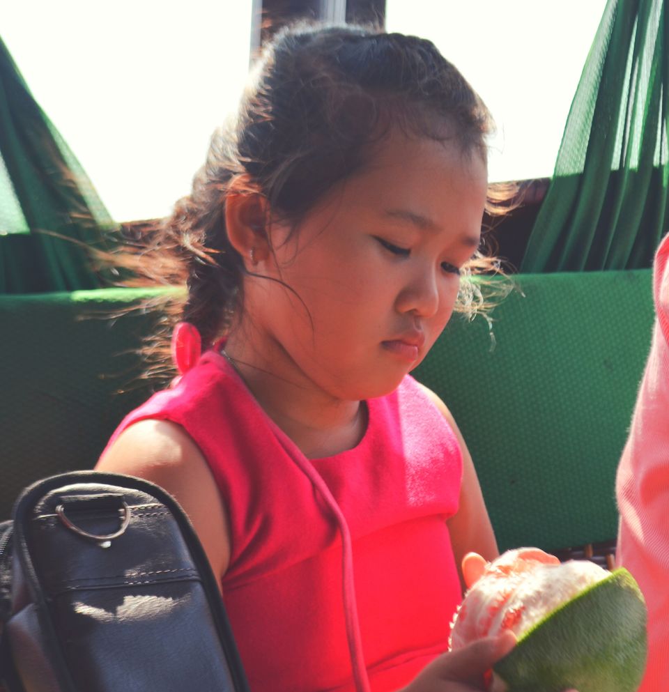 Photo of Good Morning, Vietnam. Part-III Mekong Delta – I found a Horcrux 5/13 by Wandering Corn