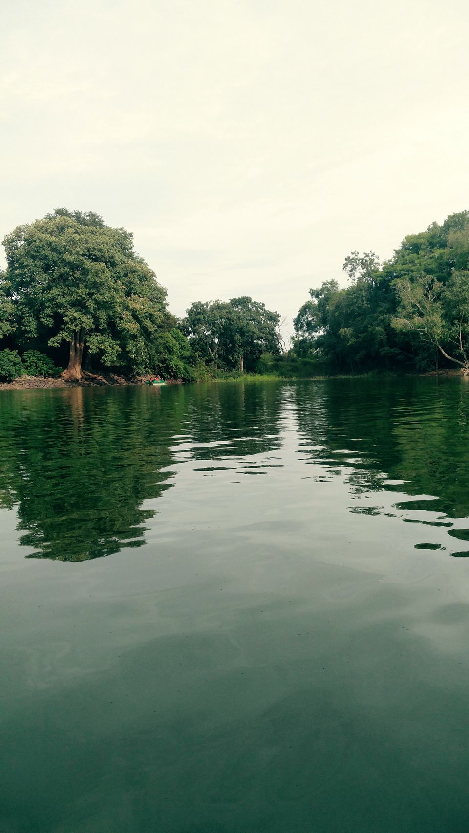 Photo of Savandurga hills: A perfect "exploratory" day off from Bangalore. 3/8 by Sandeep kumar