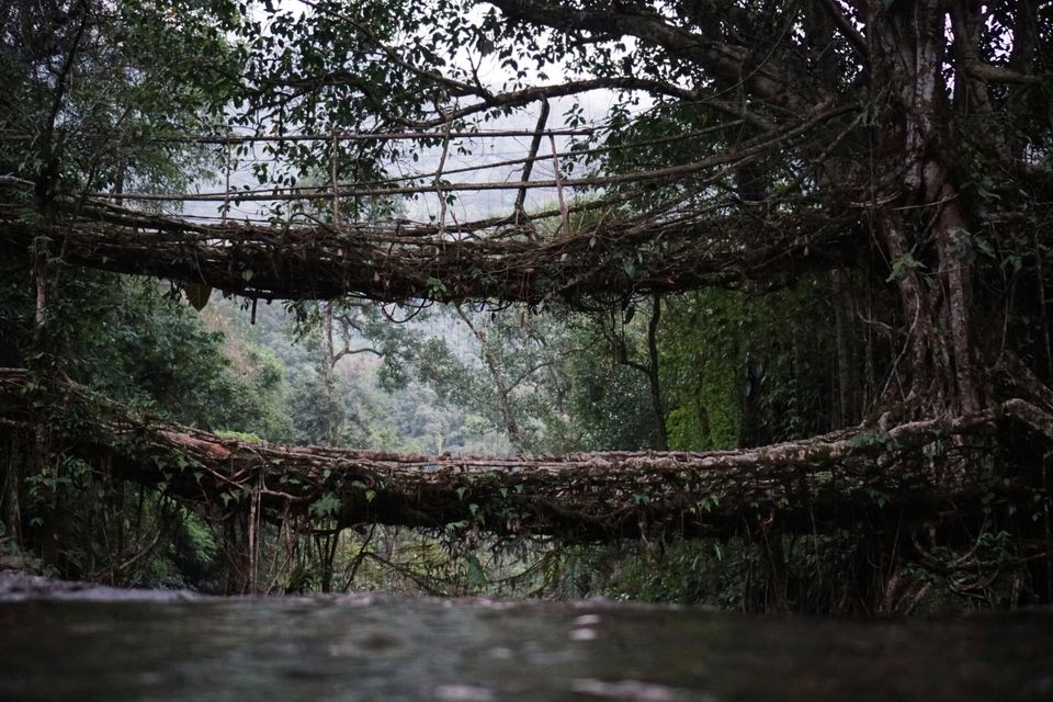 Photo of Cherrapunjee, Meghalaya, India by Preetha Vijayan
