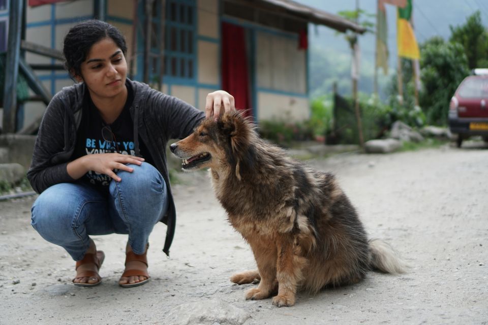 Photo of Lachen, Sikkim, India by Preetha Vijayan