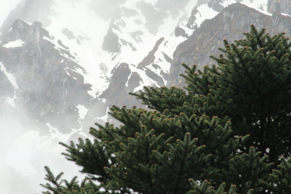 Photo of Yumthang, Sikkim, India by Preetha Vijayan