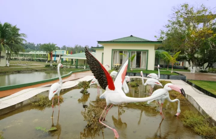 Photo of WBTDC Tourist Lodge Bakkhali, Bakkhali, West Bengal, India by gouri basak