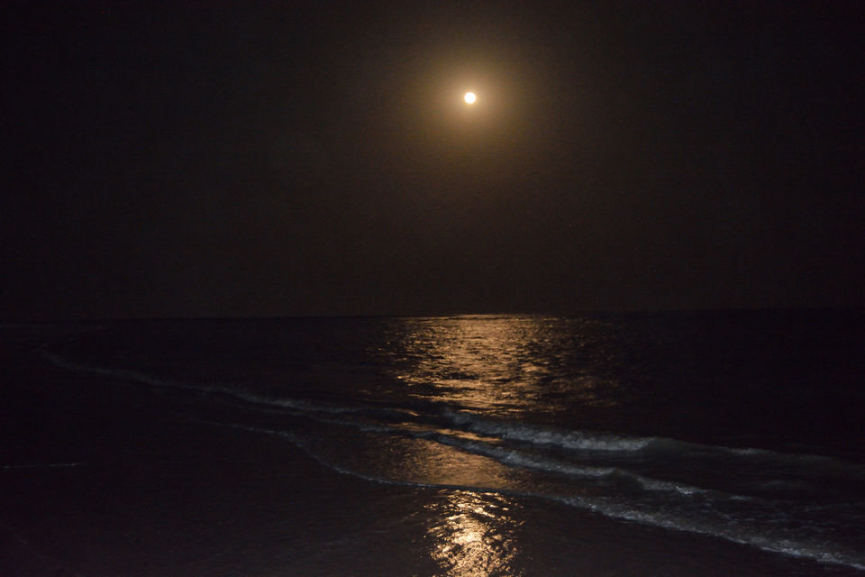Photo of Bakkhali; A Soothing Weekend Getaway @ South Kolkata by gouri basak