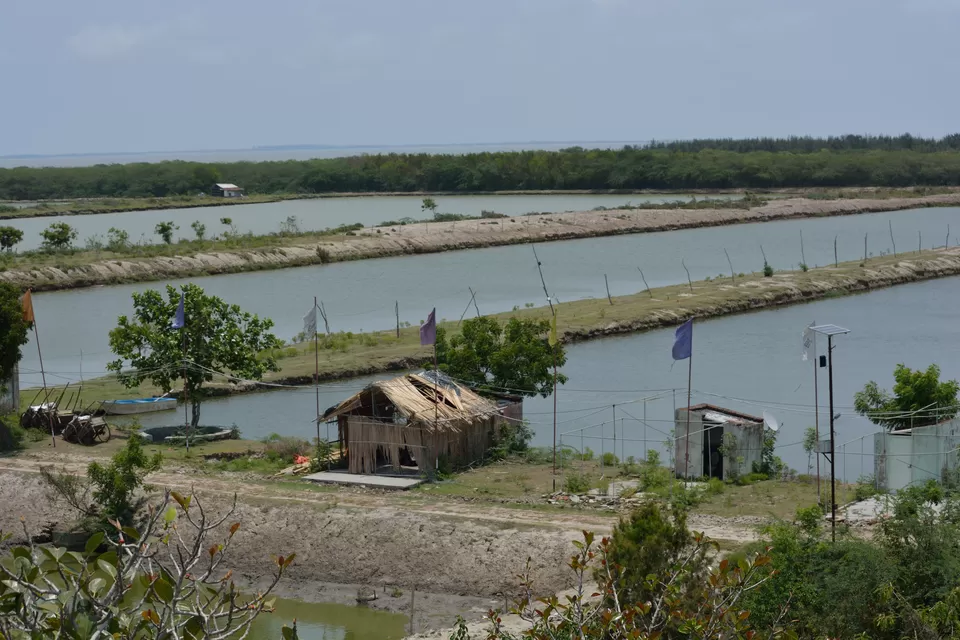 Photo of Bakkhali; A Soothing Weekend Getaway @ South Kolkata by gouri basak