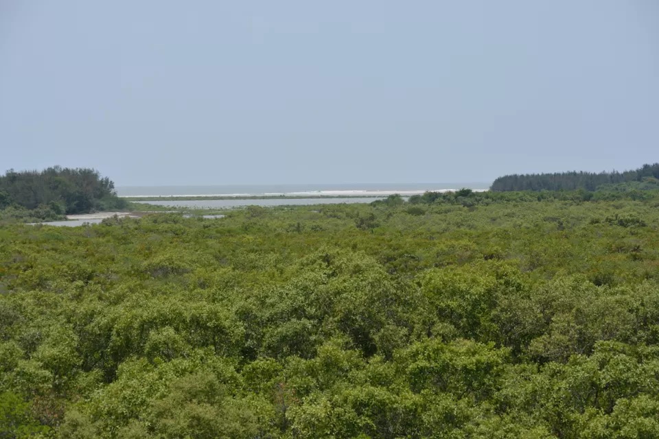 Photo of Bakkhali; A Soothing Weekend Getaway @ South Kolkata by gouri basak