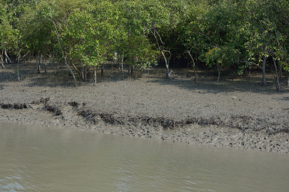 Photo of Bakkhali; A Soothing Weekend Getaway @ South Kolkata by gouri basak