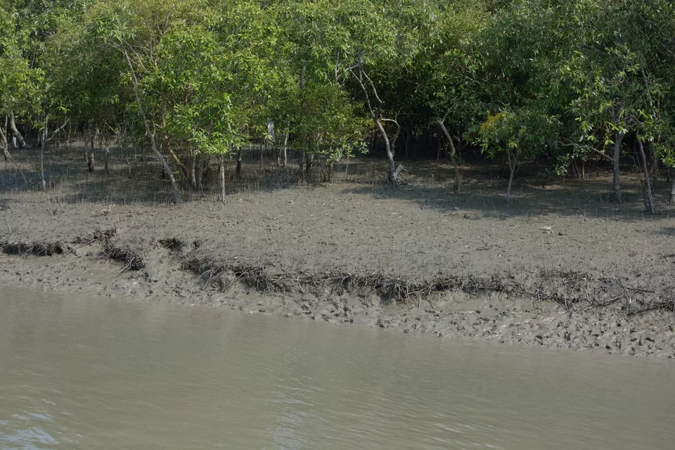 Photo of Bakkhali; A Soothing Weekend Getaway @ South Kolkata by gouri basak