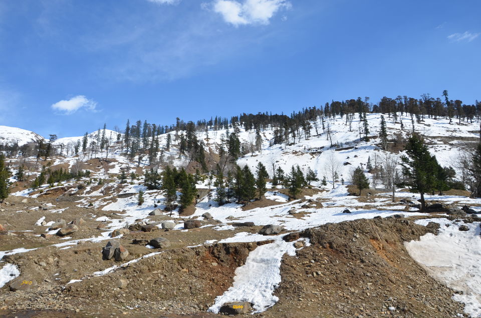 Photo of Manali: A Highway of Beauty 4/17 by Krishn Kumar Gupt