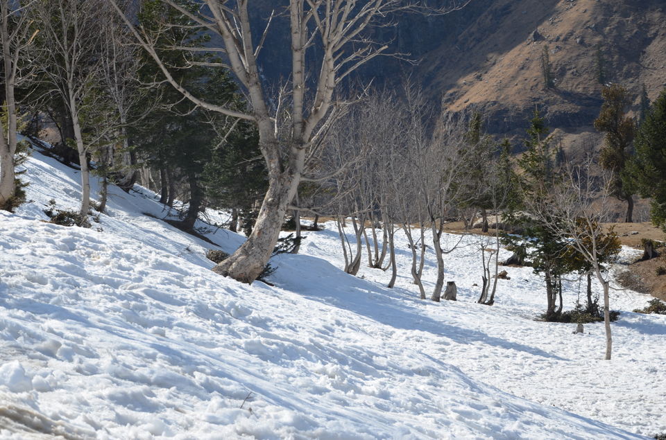 Photo of Manali: A Highway of Beauty 5/17 by Krishn Kumar Gupt