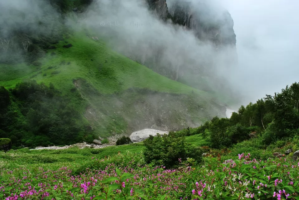 Photo of Valley of Flowers Trek: Where Every Step Feels Like a Prayer by Divya Tiwary