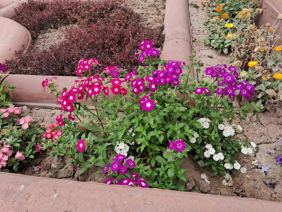 Photo of Agra Mathura Solo Trip by Saurabh Shirke