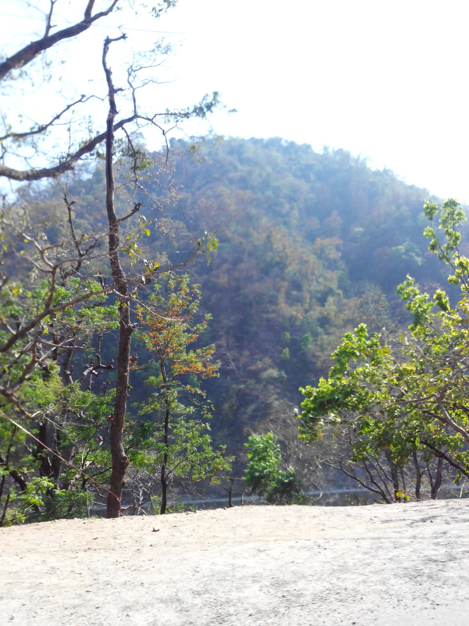 Photo of Rishikesh - " Where Beauty Meets Adventure " 1/11 by Pulkit Garg