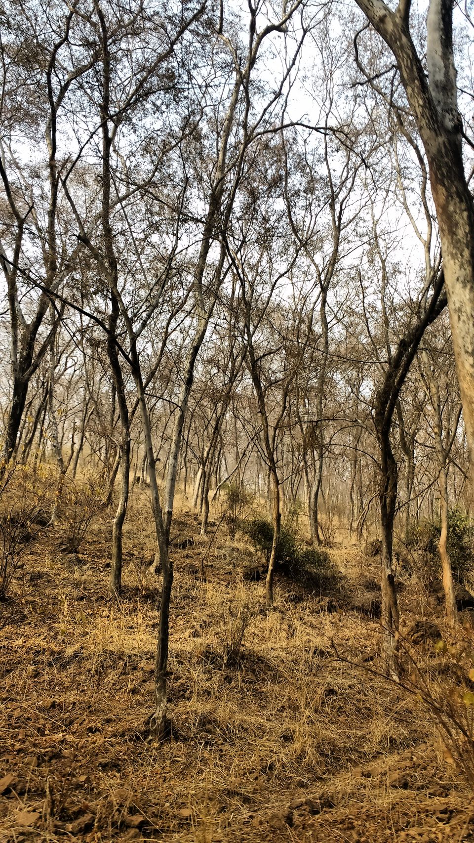Photo of Rishikesh - " Where Beauty Meets Adventure " 9/11 by Pulkit Garg