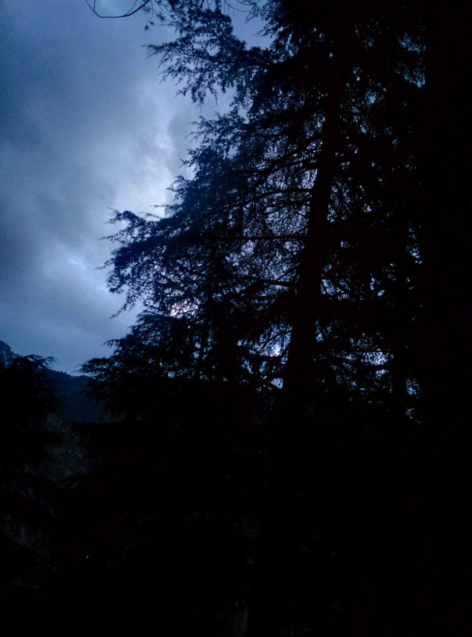 Photo of Triund: We Experienced, We Survived ! 2/37 by Pankhuri Agarwal