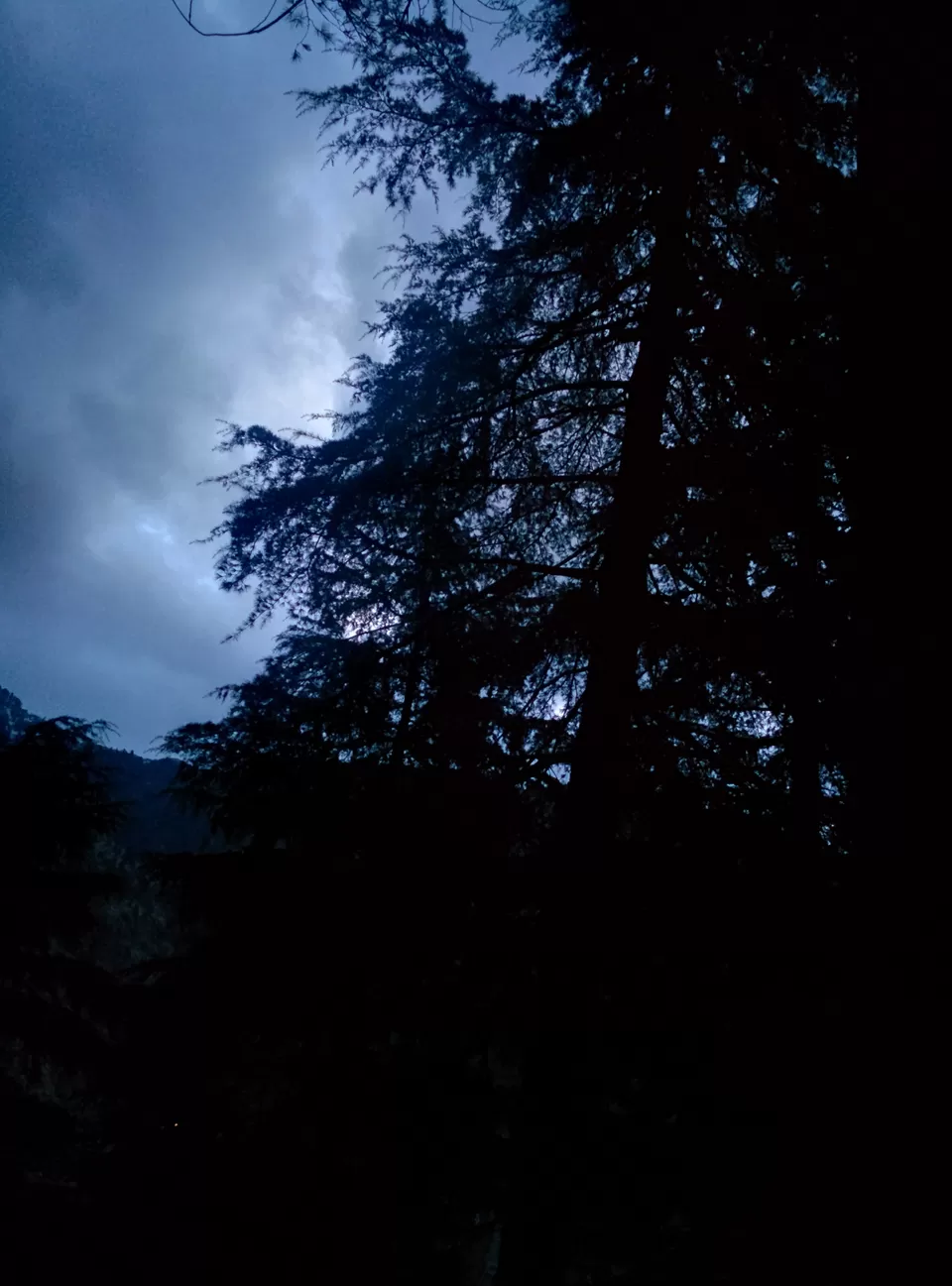 Photo of Dharamkot, Dharamkot, Dharamshala, Himachal Pradesh 176219, India by Pankhuri Agarwal