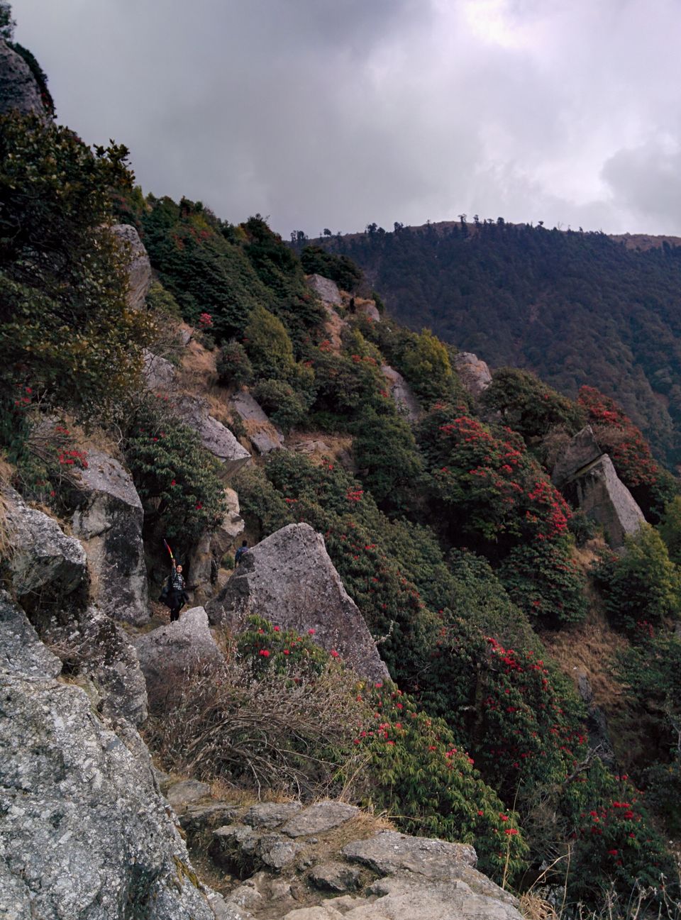 Photo of Triund: We Experienced, We Survived ! 13/37 by Pankhuri Agarwal