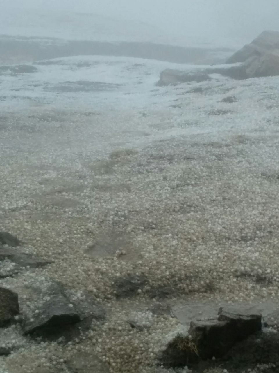 Photo of Triund: We Experienced, We Survived ! 20/37 by Pankhuri Agarwal