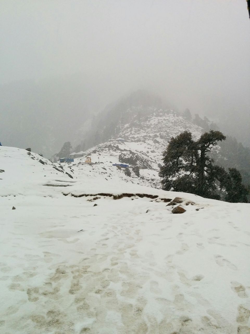 Photo of Triund: We Experienced, We Survived ! 21/37 by Pankhuri Agarwal