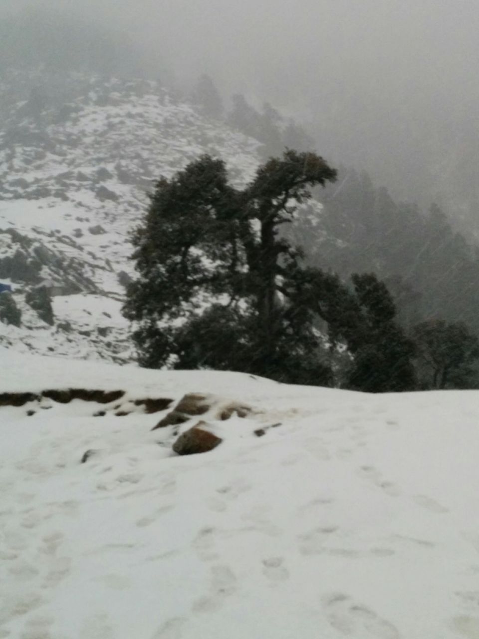 Photo of Triund: We Experienced, We Survived ! 22/37 by Pankhuri Agarwal