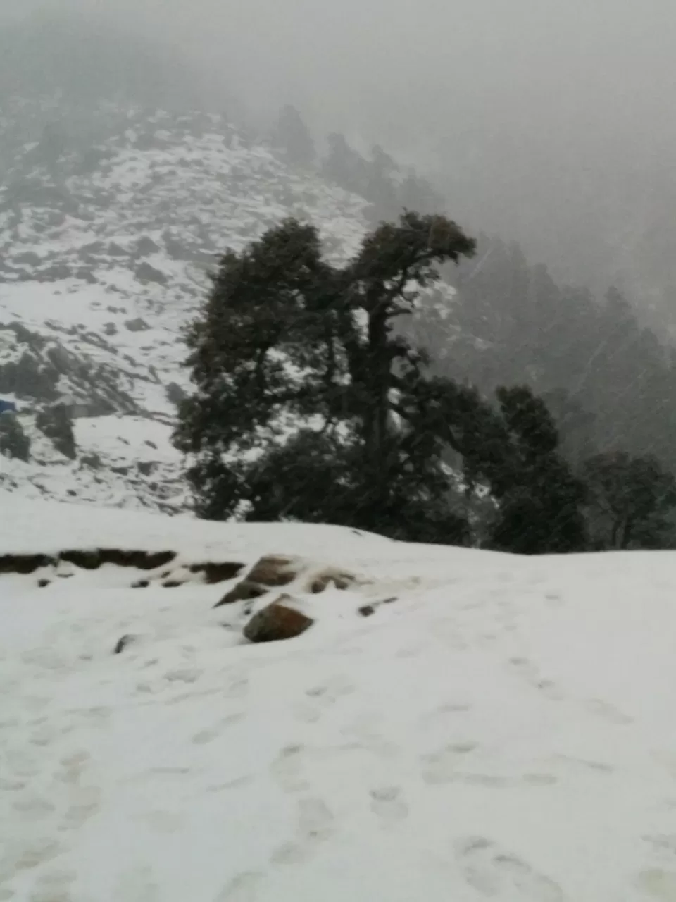 Photo of Triund. by Pankhuri Agarwal