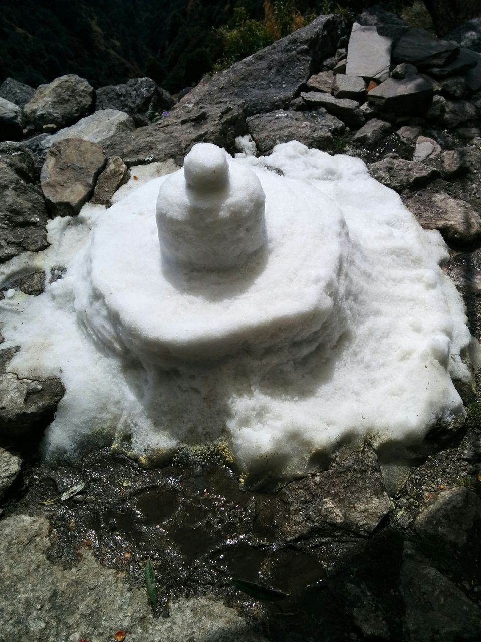 Photo of Triund: We Experienced, We Survived ! 26/37 by Pankhuri Agarwal
