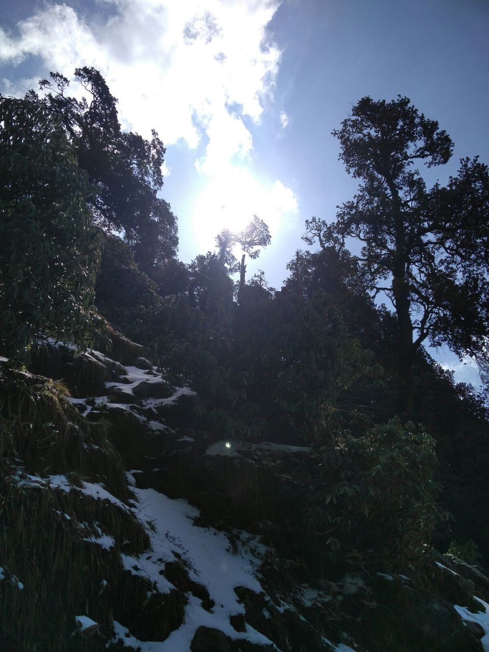 Photo of Triund: We Experienced, We Survived ! 28/37 by Pankhuri Agarwal
