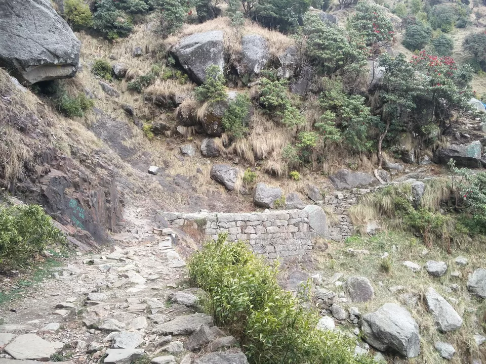 Photo of Trail to Triund Hill, Dharamshala, Himachal Pradesh, India by Pankhuri Agarwal