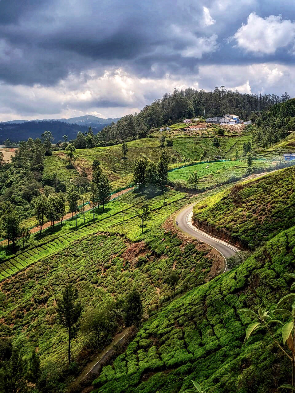 Photo of Emerald Lake, Tamil Nadu by Kritika