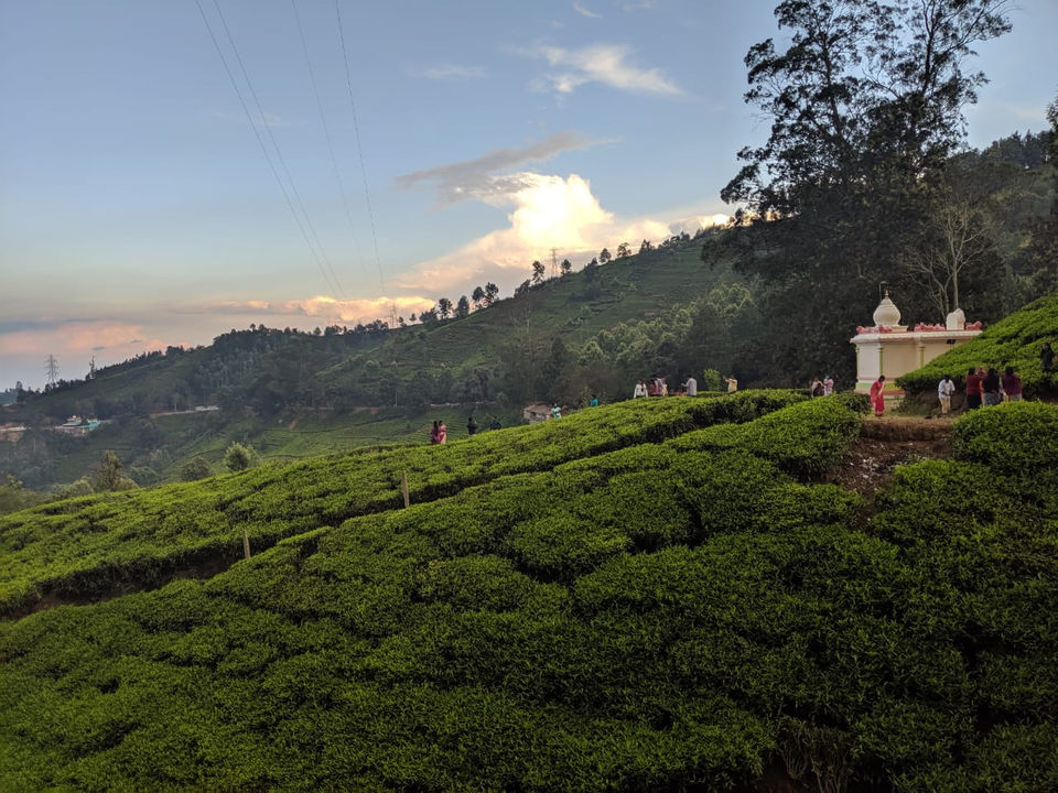 Photo of Doddabetta Peak, Tamil Nadu by Kritika