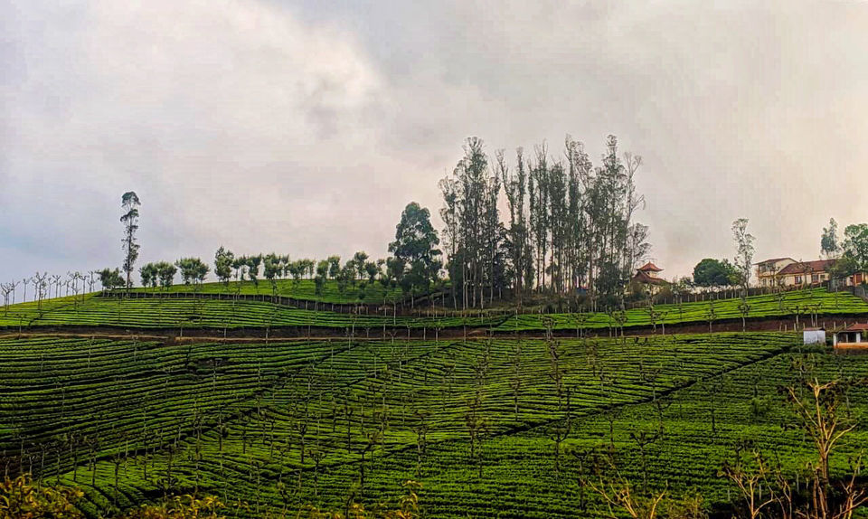 Photo of Toy Train Railway Station Ooty, Toy Train Railway Station, Kathadimattam, Ooty, Tamil Nadu, India by Kritika