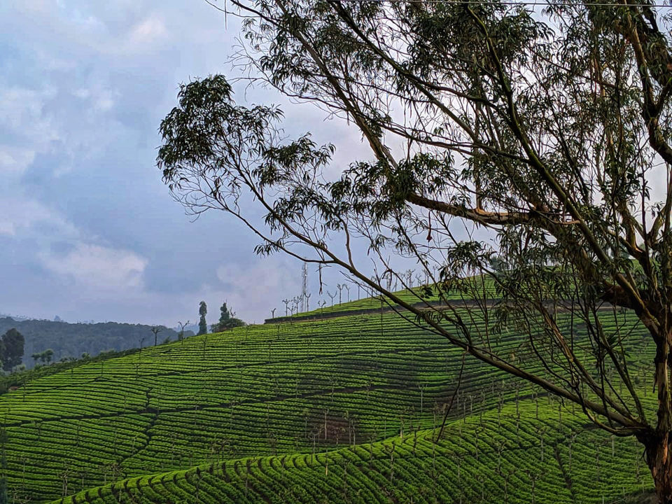 Photo of Toy Train Railway Station Ooty, Toy Train Railway Station, Kathadimattam, Ooty, Tamil Nadu, India by Kritika