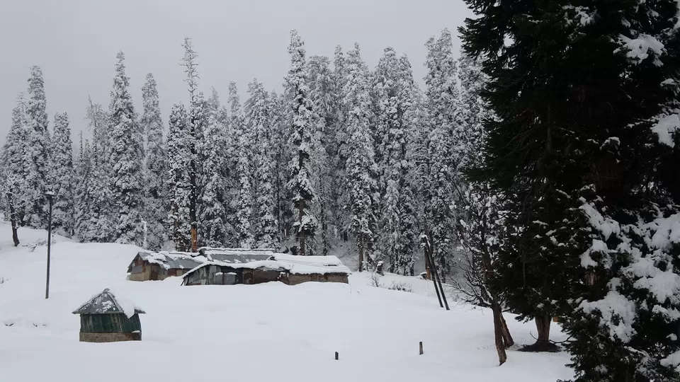 Photo of Jammu and Kashmir by Kritika