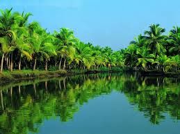 Photo of Cochin - Sun, Sea, and Sand 2/5 by nargis dingra
