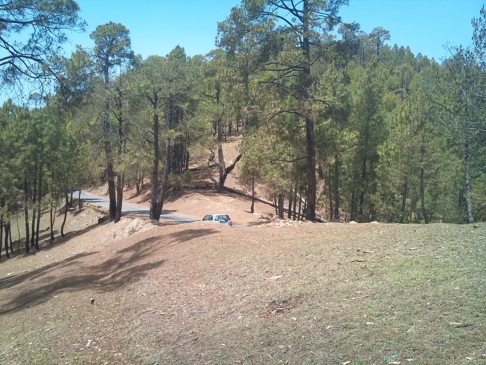 Photo of On the way to Binsar by Kanika Agarwal