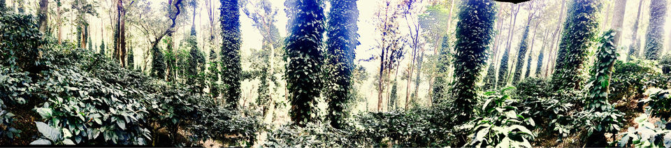 Photo of Borra Caves Road, Mulyaguda, Andhra Pradesh, India by Abilash Rinald