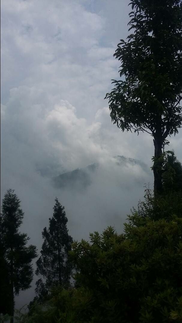 Photo of The hilly retreat in Icche Gaon,Lava and Rishyap, North Bengal by Shinjini Majumder