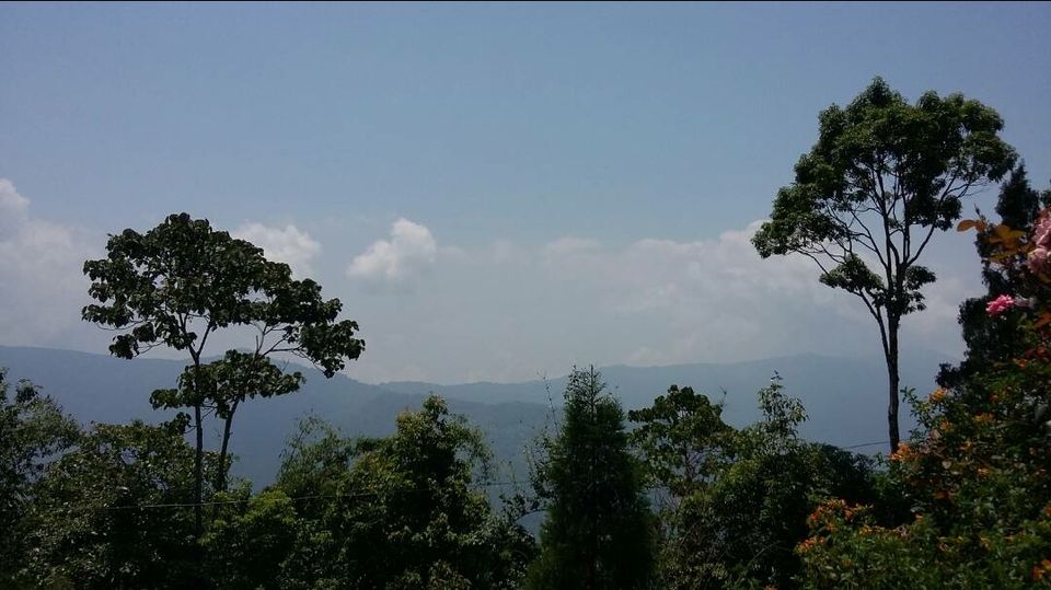 Photo of The hilly retreat in Icche Gaon,Lava and Rishyap, North Bengal by Shinjini Majumder
