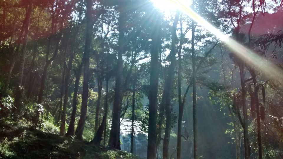 Photo of Roadtrippin' in Karnataka: Coorg, Mangalore, Chikmagalur by Shinjini Majumder