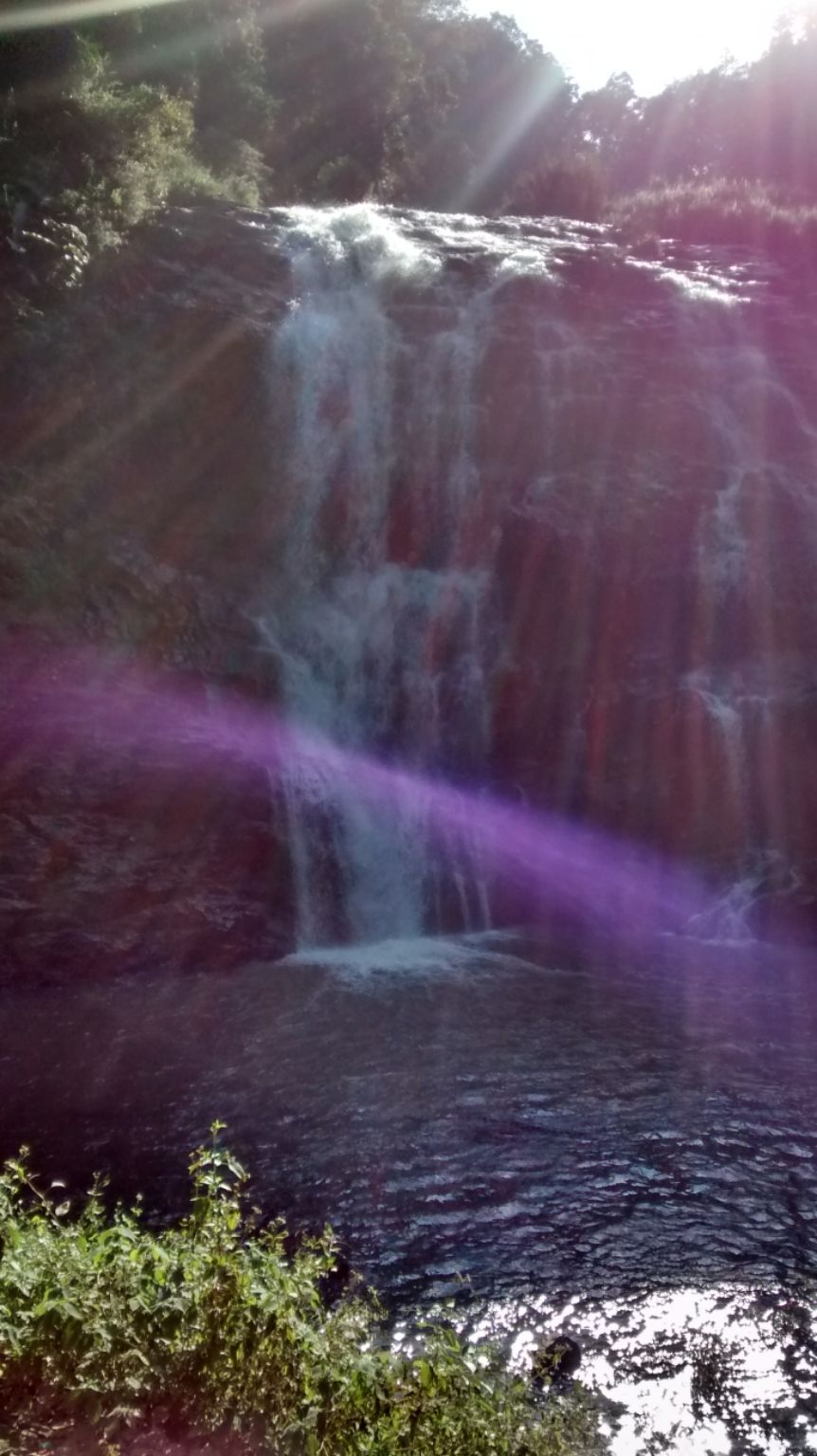 Photo of Roadtrippin' in Karnataka: Coorg, Mangalore, Chikmagalur by Shinjini Majumder