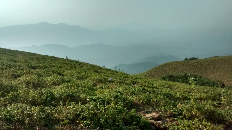 Photo of Roadtrippin' in Karnataka: Coorg, Mangalore, Chikmagalur by Shinjini Majumder