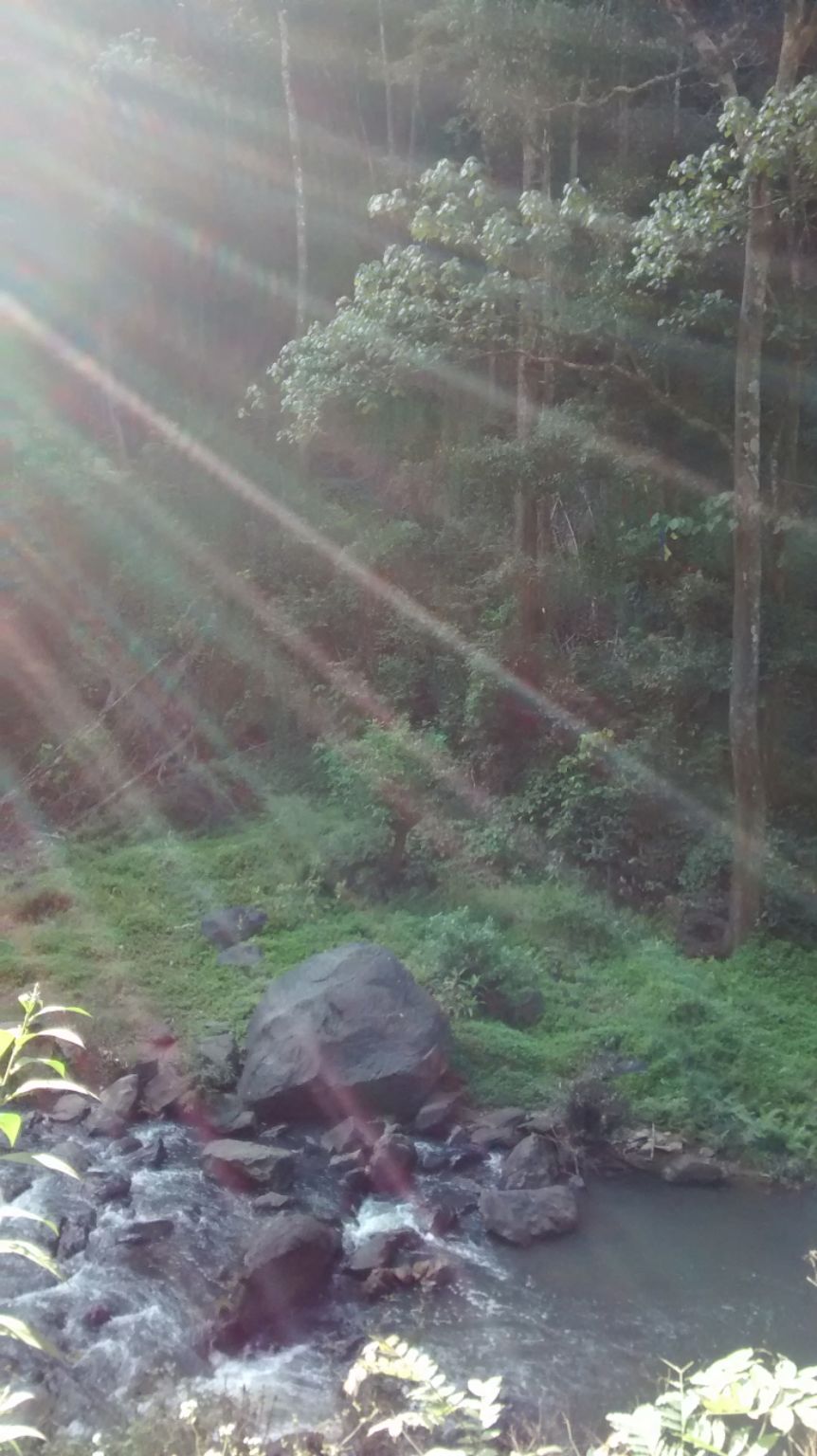 Photo of Roadtrippin' in Karnataka: Coorg, Mangalore, Chikmagalur by Shinjini Majumder