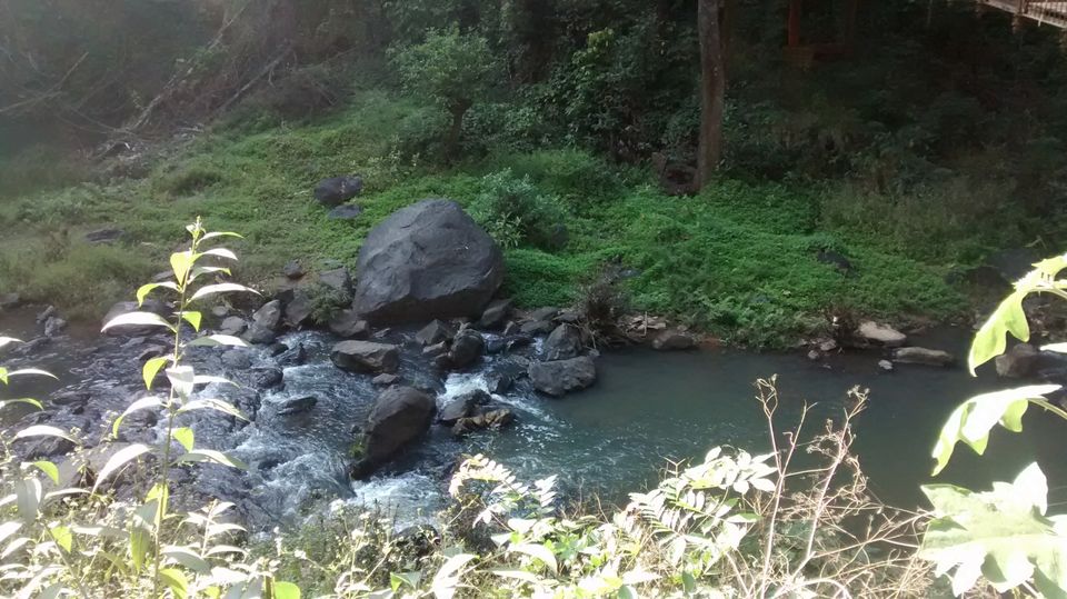 Photo of Roadtrippin' in Karnataka: Coorg, Mangalore, Chikmagalur by Shinjini Majumder